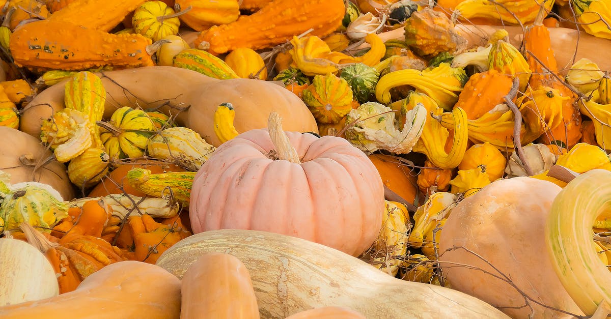 découvrez lumos maxima, une expérience immersive qui illumine votre quotidien grâce à des solutions innovantes et inspirantes. plongez dans un univers de lumière et de créativité où chaque idée brille de mille feux.