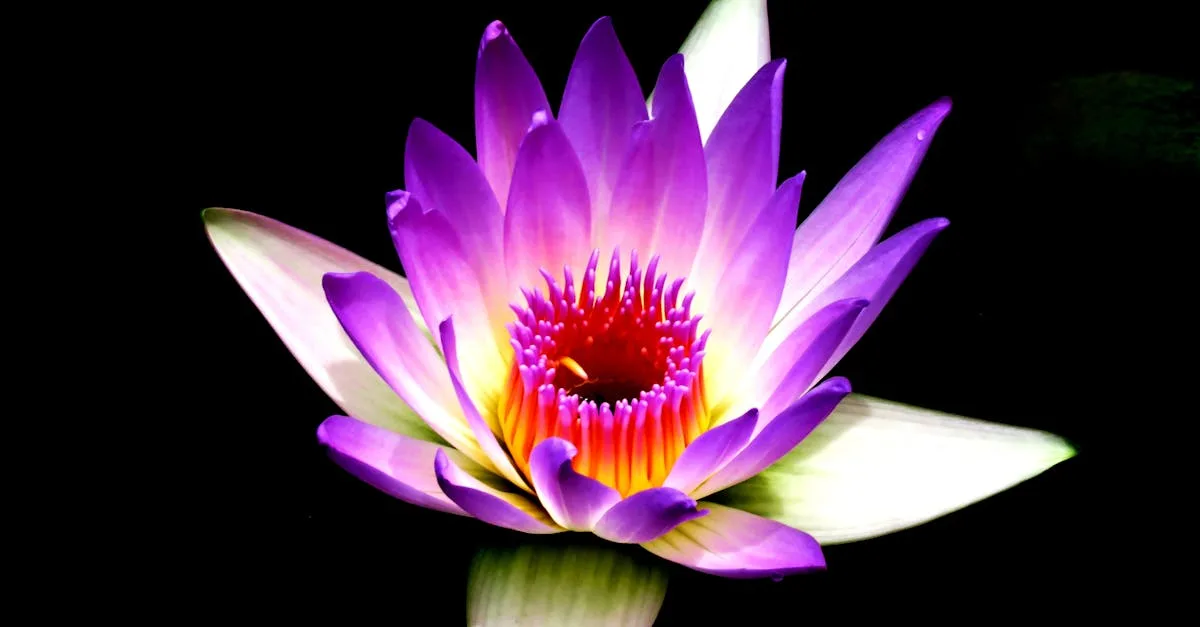 découvrez les bienfaits de la méditation : techniques, conseils et astuces pour débuter, réduire le stress, améliorer votre bien-être et retrouver l’équilibre au quotidien.