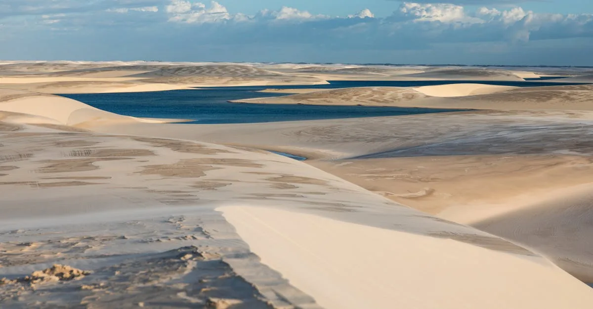 découvrez kemo ma bimbo, un univers unique où style et créativité se rencontrent pour donner vie à vos avatars préférés.