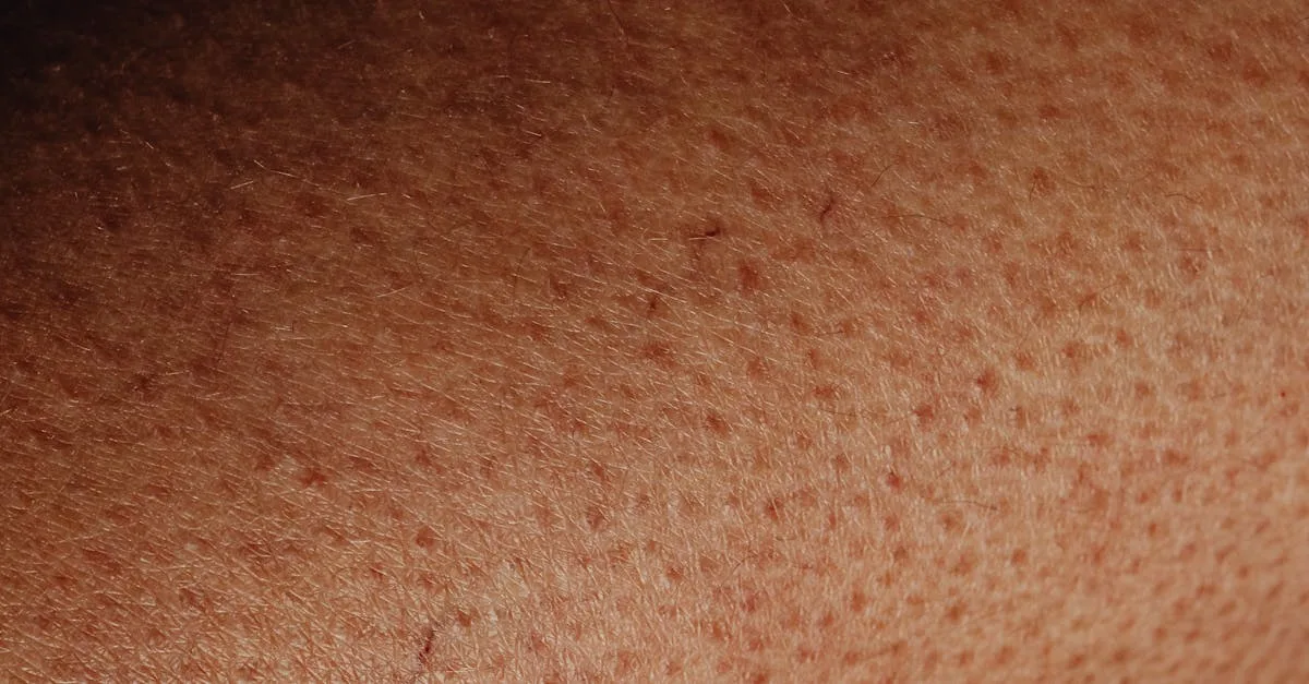 découvrez la vie personnelle de luc plamondon, son parcours, ses passions et les moments marquants en dehors de sa carrière artistique.