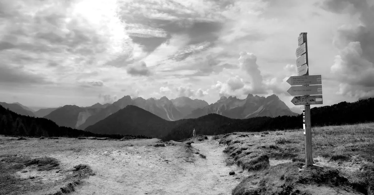 guide de randonnée complet pour tous les niveaux : conseils, itinéraires, équipements et astuces pour profiter pleinement de vos aventures en plein air.