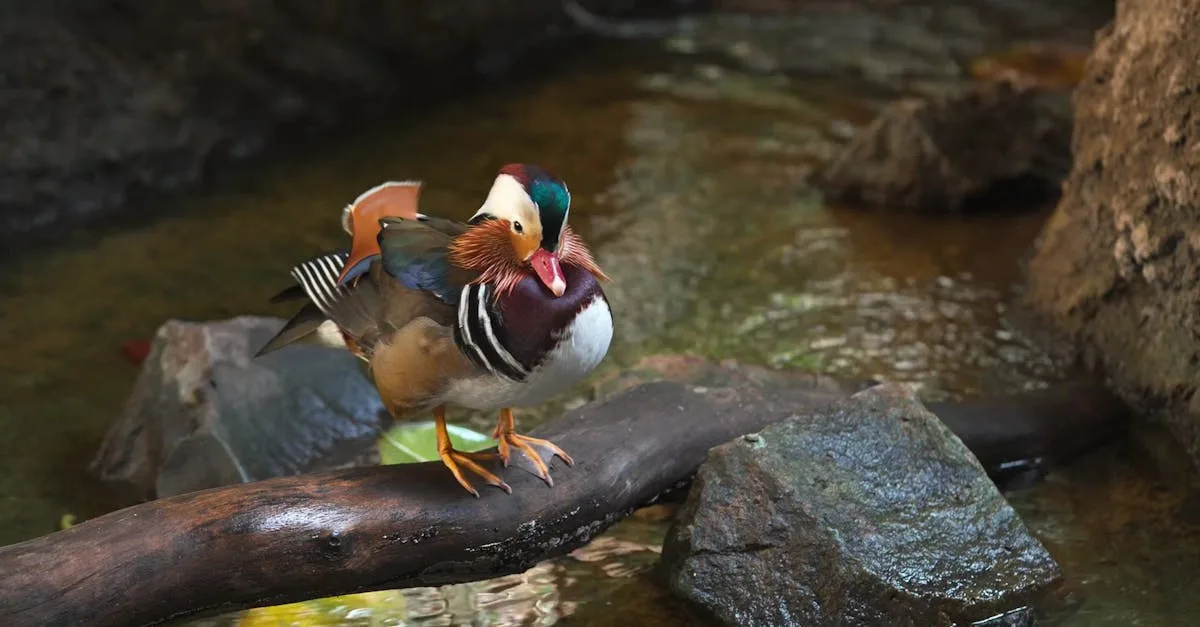 plateforme de streaming gratuite offrant un large choix de films, séries et contenus en ligne accessibles sans abonnement.