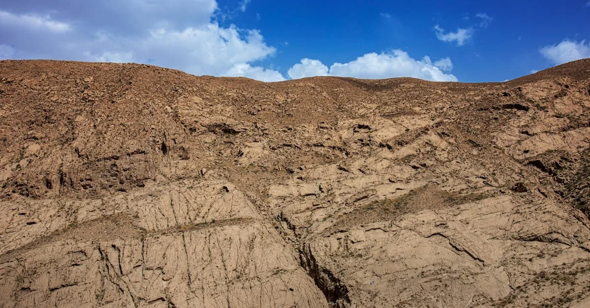 découvrez l'origine fascinante de nos produits et plongez dans leur histoire authentique. explorez les racines et la provenance qui font toute la différence.