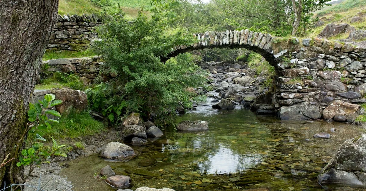 découvrez notre site de streaming offrant un accès rapide et facile à vos films et séries préférés en haute qualité, sans interruption.