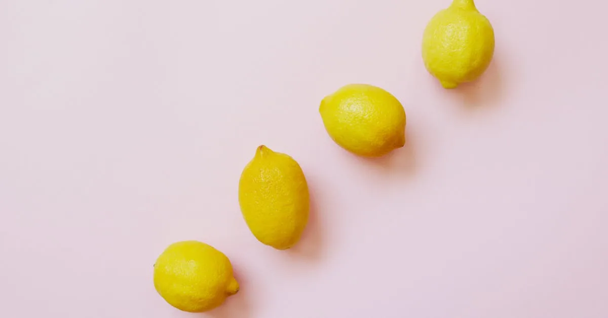 découvrez tout sur la morsure d'acarien : symptômes, traitement et prévention pour protéger votre peau efficacement.