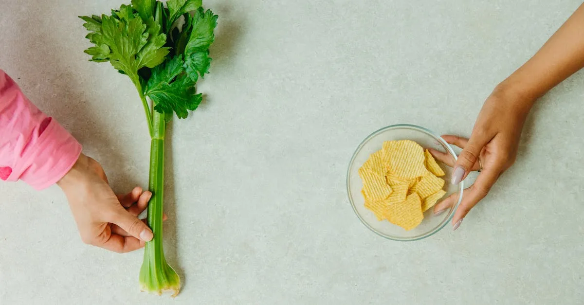 découvrez les bienfaits du céleri pour la santé des hommes : amélioration de la digestion, réduction de l'inflammation et soutien cardiovasculaire.