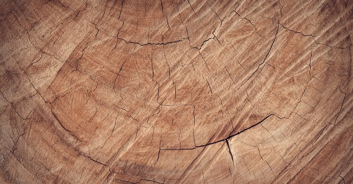 découvrez tout sur le gooseneck barnacle, un crustacé marin unique aux pinces longues et flexibles, souvent apprécié pour sa rareté et sa saveur délicate.