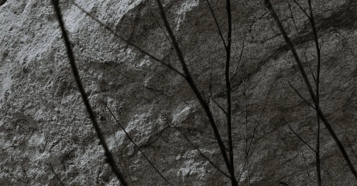 découvrez tout sur le gooseneck barnacle, un crustacé marin unique apprécié pour sa saveur délicate et sa texture tendre, souvent récolté sur les côtes rocheuses.