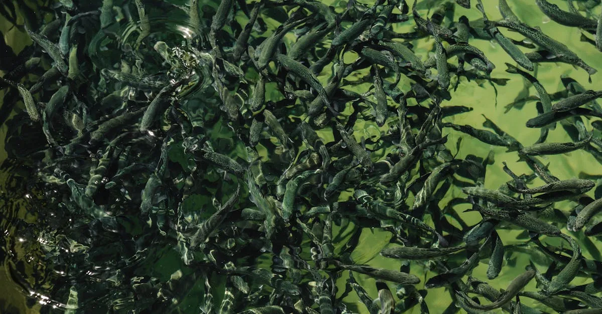 découvrez la laxophobie, la peur intense et irrationnelle des lâches, ses causes, symptômes et moyens de la surmonter.