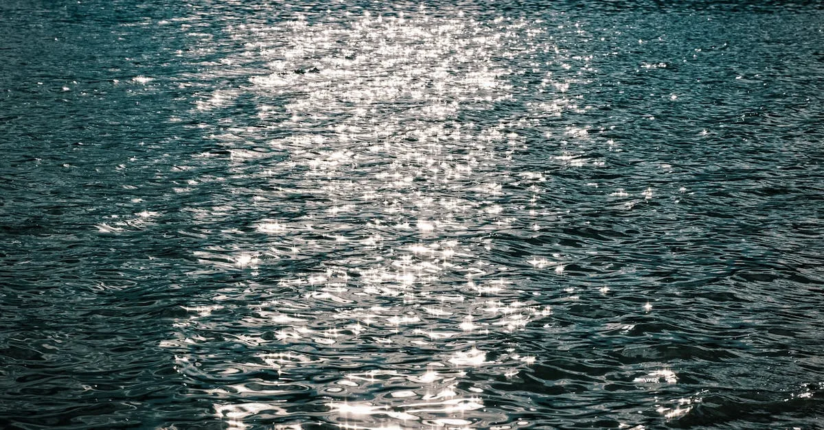 découvrez notre eau pétillante naturelle, une source de fraîcheur pure et authentique, idéale pour votre bien-être au quotidien.