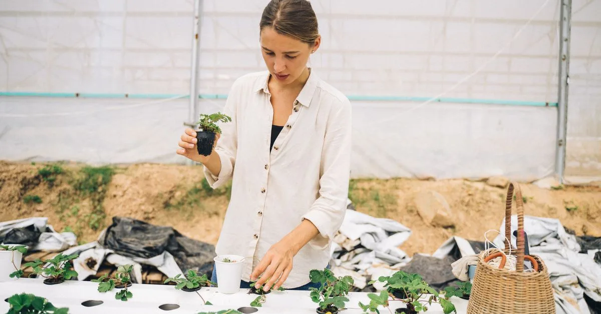 découvrez l'aquaponie, une méthode écologique alliant aquaculture et culture hydroponique pour un jardinage durable et productif.