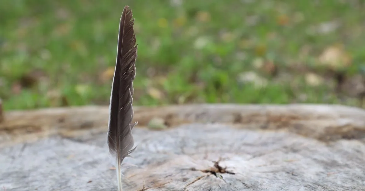 webfeather est une plateforme innovante dédiée au développement web, offrant des outils performants pour créer des sites modernes et attractifs.