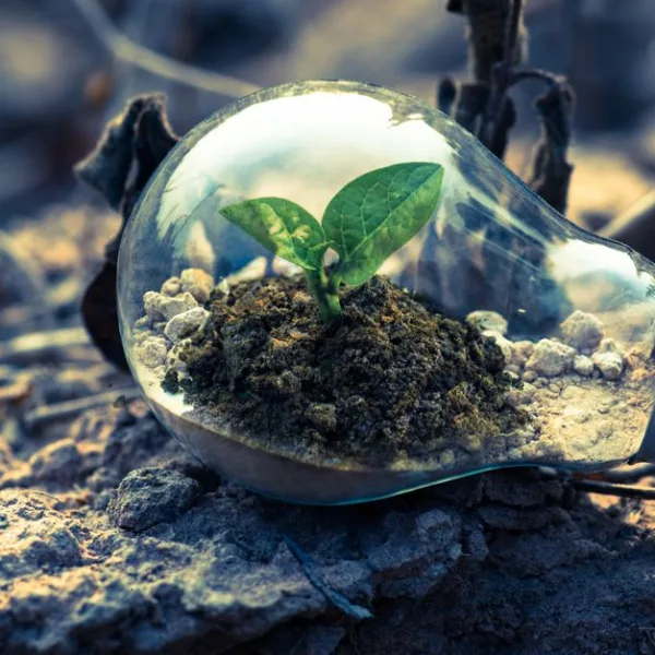 Réglementation et normes environnementales clés pour la construction de maison