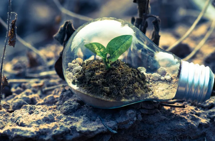 Réglementation et normes environnementales clés pour la construction de maison