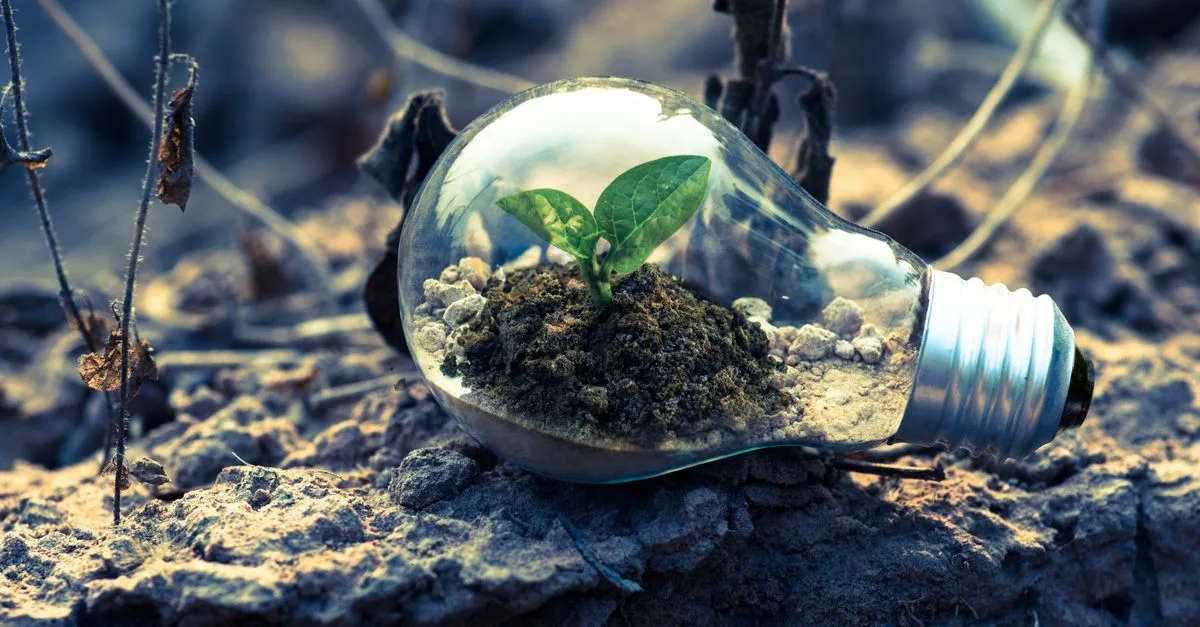 découvrez les réglementations environnementales essentielles pour protéger la planète et assurer un développement durable.