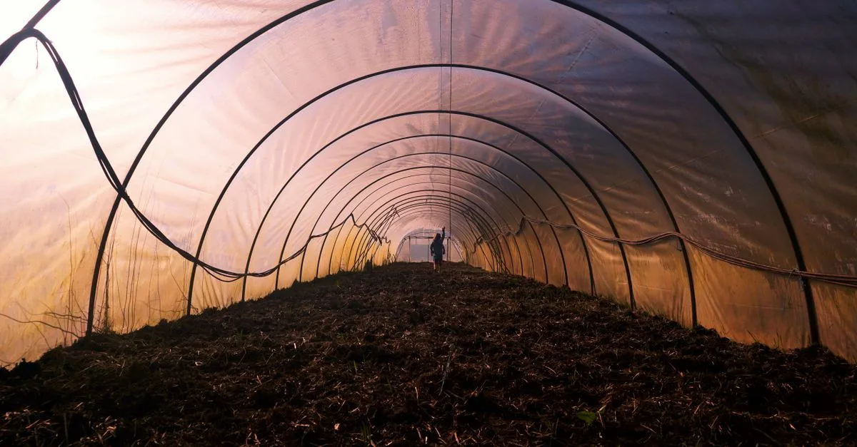 découvrez des méthodes agricoles innovantes et écologiques pour un avenir durable, alliant technologie moderne et respect de l'environnement.