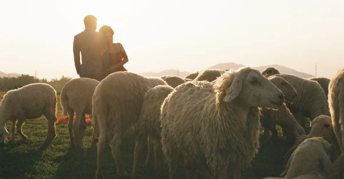 découvrez les clés d'une coexistence harmonieuse entre les individus et les communautés pour un vivre-ensemble pacifique et respectueux.